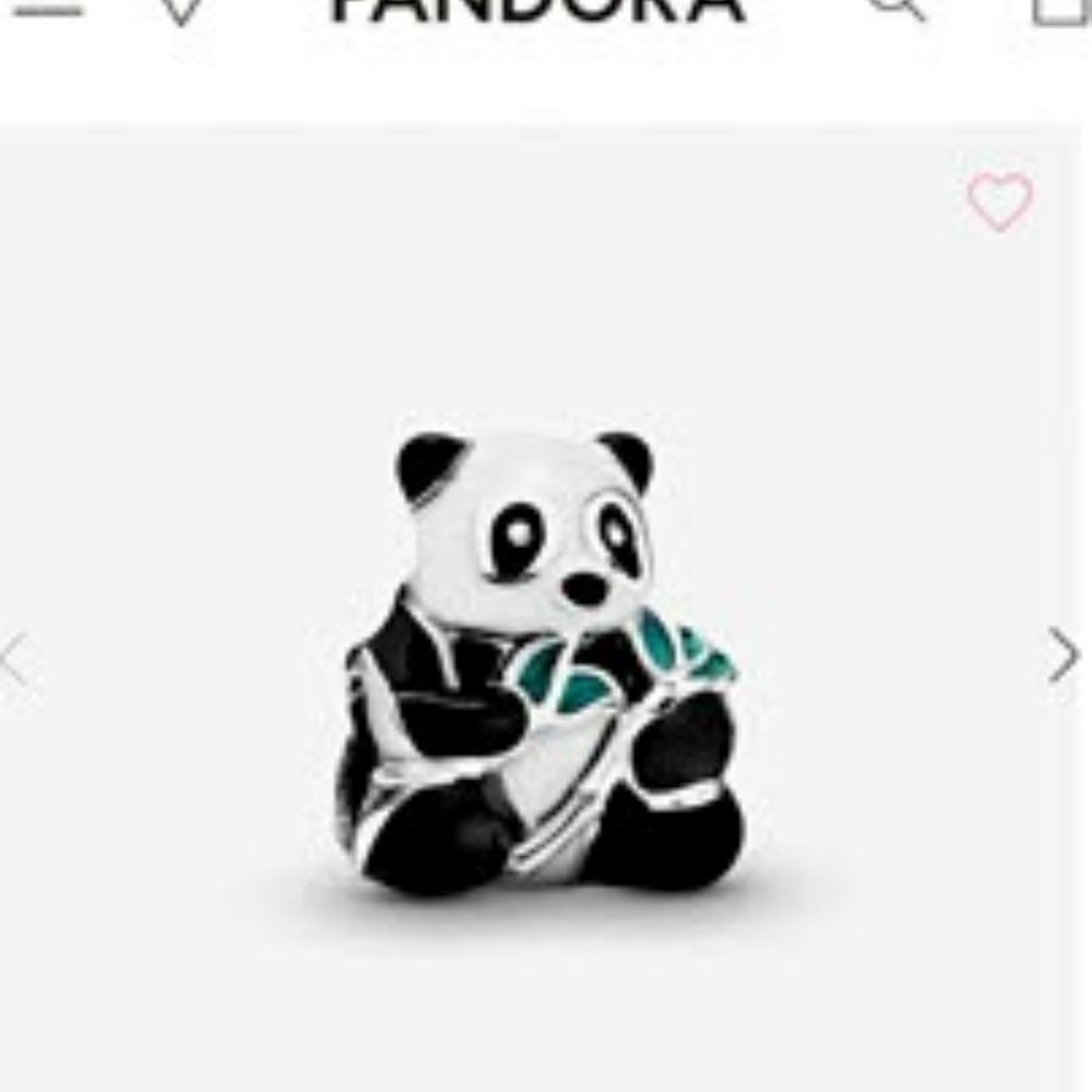 BRAND NEW Pandora Charm!